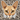 Abyssinian Cat Sticker - Turbo Vinyl