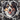 Australian Shepherd Dog Sticker - Turbo Vinyl