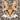 Bengal Cat Sticker - Turbo Vinyl