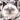 Birman Cat Sticker - Turbo Vinyl