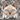 Burmese Cat Sticker - Turbo Vinyl