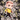 Chibi Kirk Sticker - Turbo Vinyl