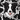 Collie Dog Sticker - Turbo Vinyl