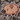 Cute Wildboar Sticker - Turbo Vinyl
