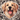 Golden Retriever Dog Sticker - Turbo Vinyl