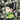 Gon Sticker - Turbo Vinyl