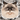 Himalayan Cat Sticker - Turbo Vinyl