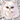 Persian Cat Sticker - Turbo Vinyl