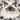 Ragdoll Cat Sticker - Turbo Vinyl