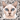Tonkinese Cat Sticker - Turbo Vinyl